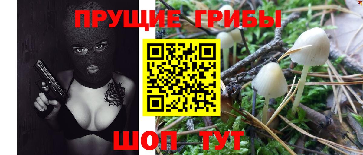 Галлюциногенные грибы MAGIC MUSHROOMS  Псилоцибиновые грибы Magic Shrooms  Мелеуз  Вход с VPN 